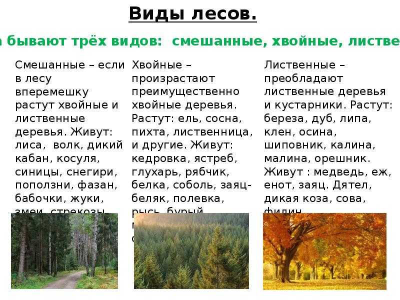 Книга так говорил заратустра читать онлайн фридрих ницше