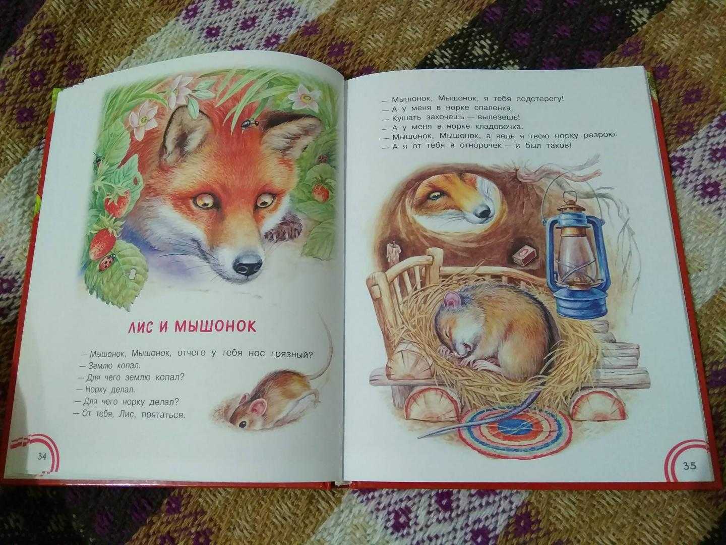 Сказка (рассказ)  мышонок пик - бианки в. в. рассказ читать текст онлайн бесплатно - stihiskazki.ru