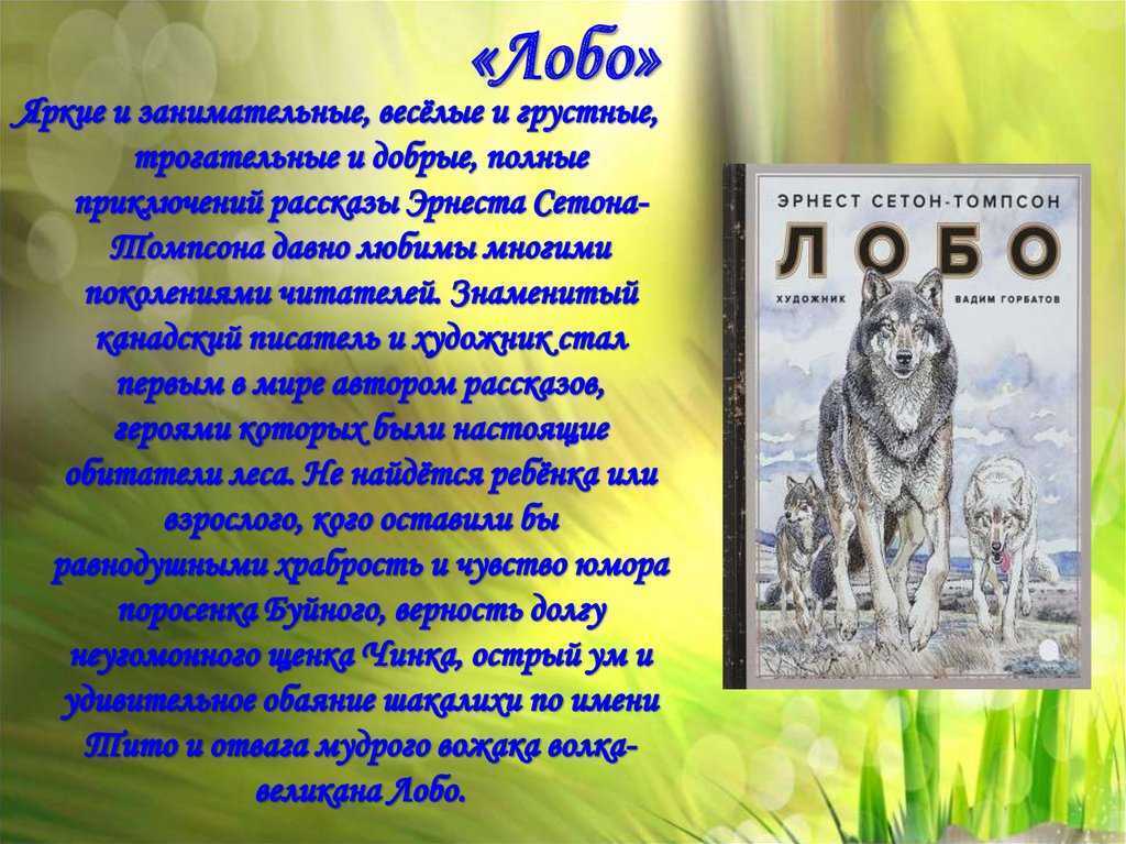 Книги сетона томпсона рассказы о животных. Произведение рассказы о животных Эрнест Сетон-Томпсон. Эрнест Сетон-Томпсон animal Heroes. Рассказы о животных Эрнест Сетон-Томпсон содержание книги. Эрнест Сетон-Томпсон рассказы о животных короткие.