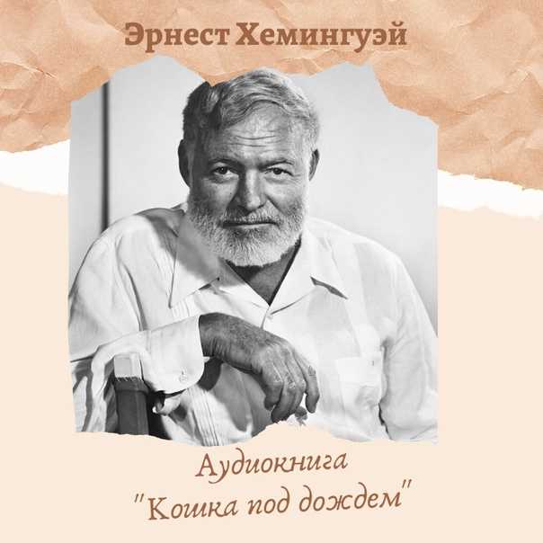 «звездный мальчик» краткое содержание сказки уайльда – читать пересказ онлайн