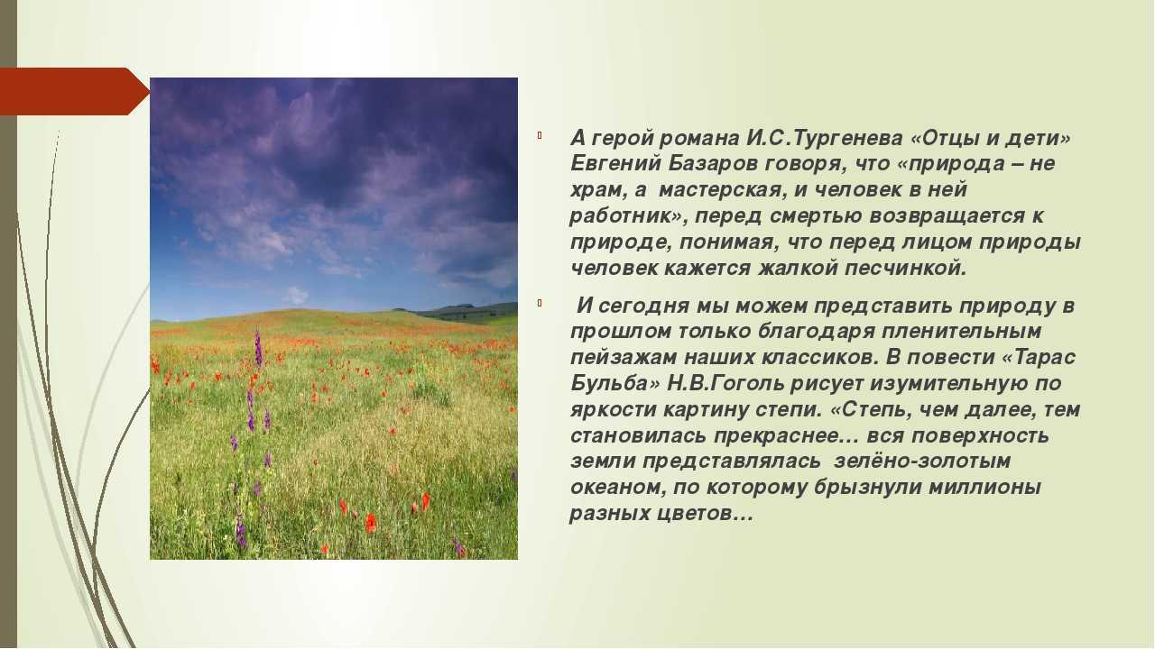 «степь» — краткое содержание повести антона павловича чехова