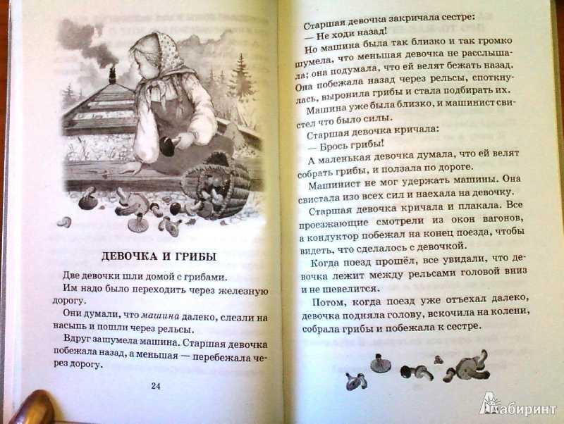 Девочка и грибы читать онлайн