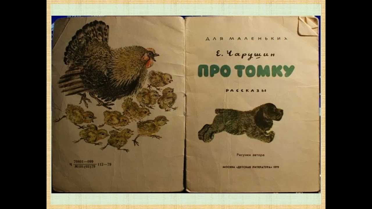 Про что рассказ томкины сны
