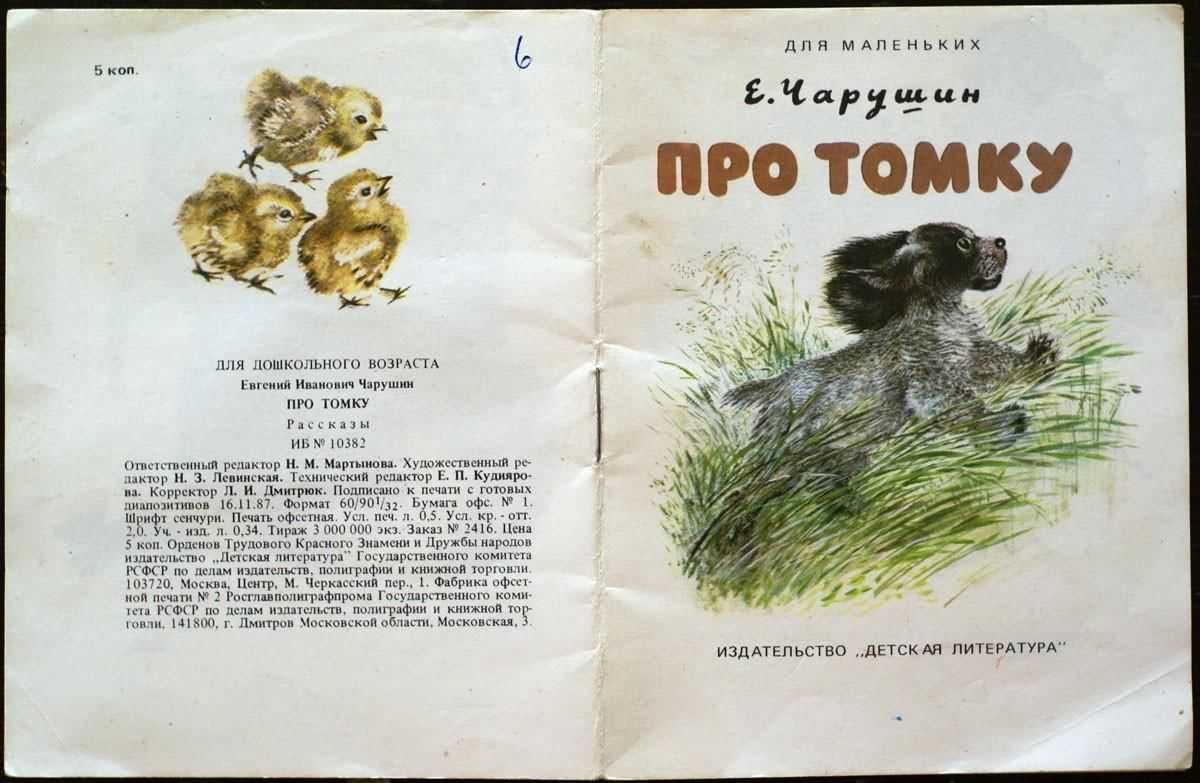 Про томку — чарушин е. читать онлайн или скачать pdf и doc