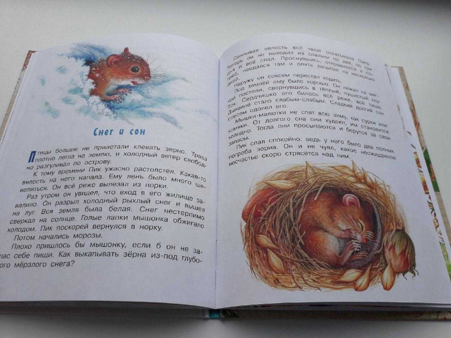 Бианки в.в. мышонок пик